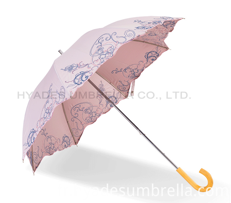joli parapluie de dames nice ladies umbrella